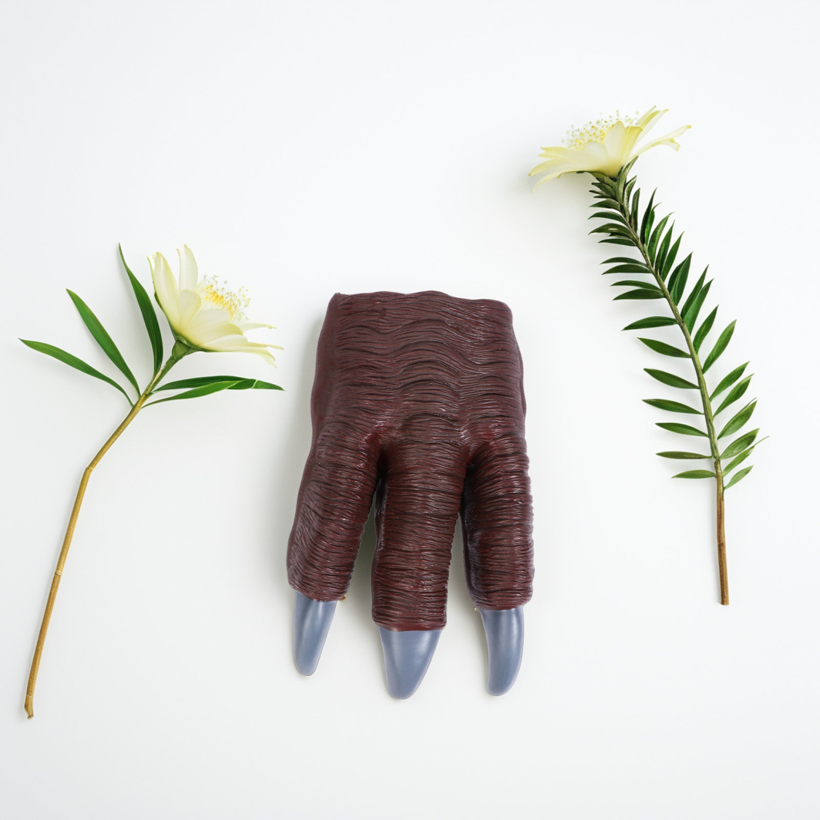 2Pcs Dinosaur Paw Claw Gloves  - đánh giá và giá Kids Toys Dinosaur